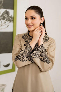 2 Pc Women's Unstitched Embroidered Suit