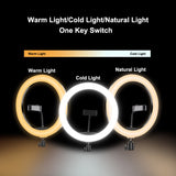 MJ33 13" RGB LED Ring Light – Multi-Color Rainbow & Off-White Light with Phone Clip (Without Stand)
